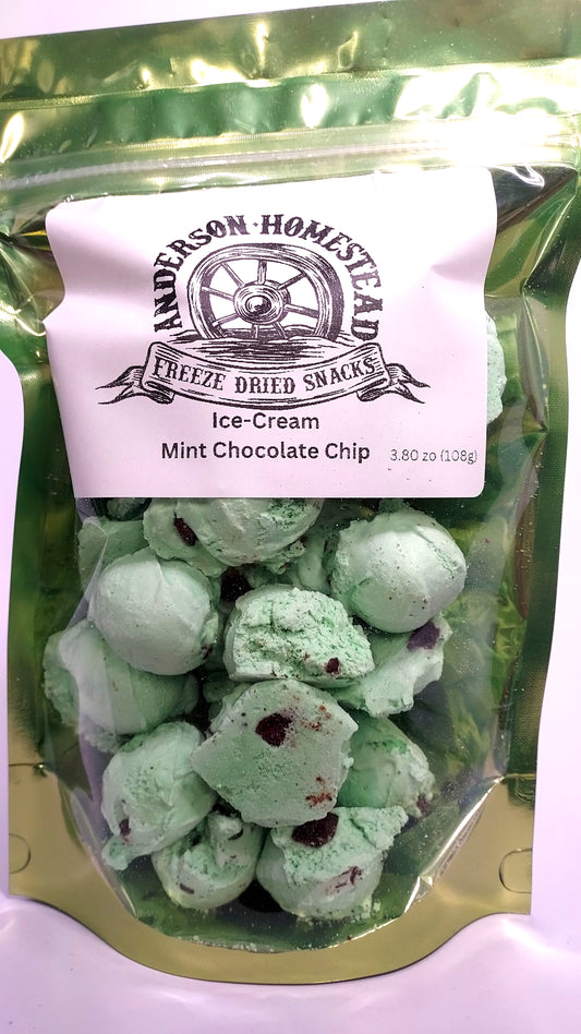 Freeze Dried Mint Chocolate Chip Ice Cream Scoops